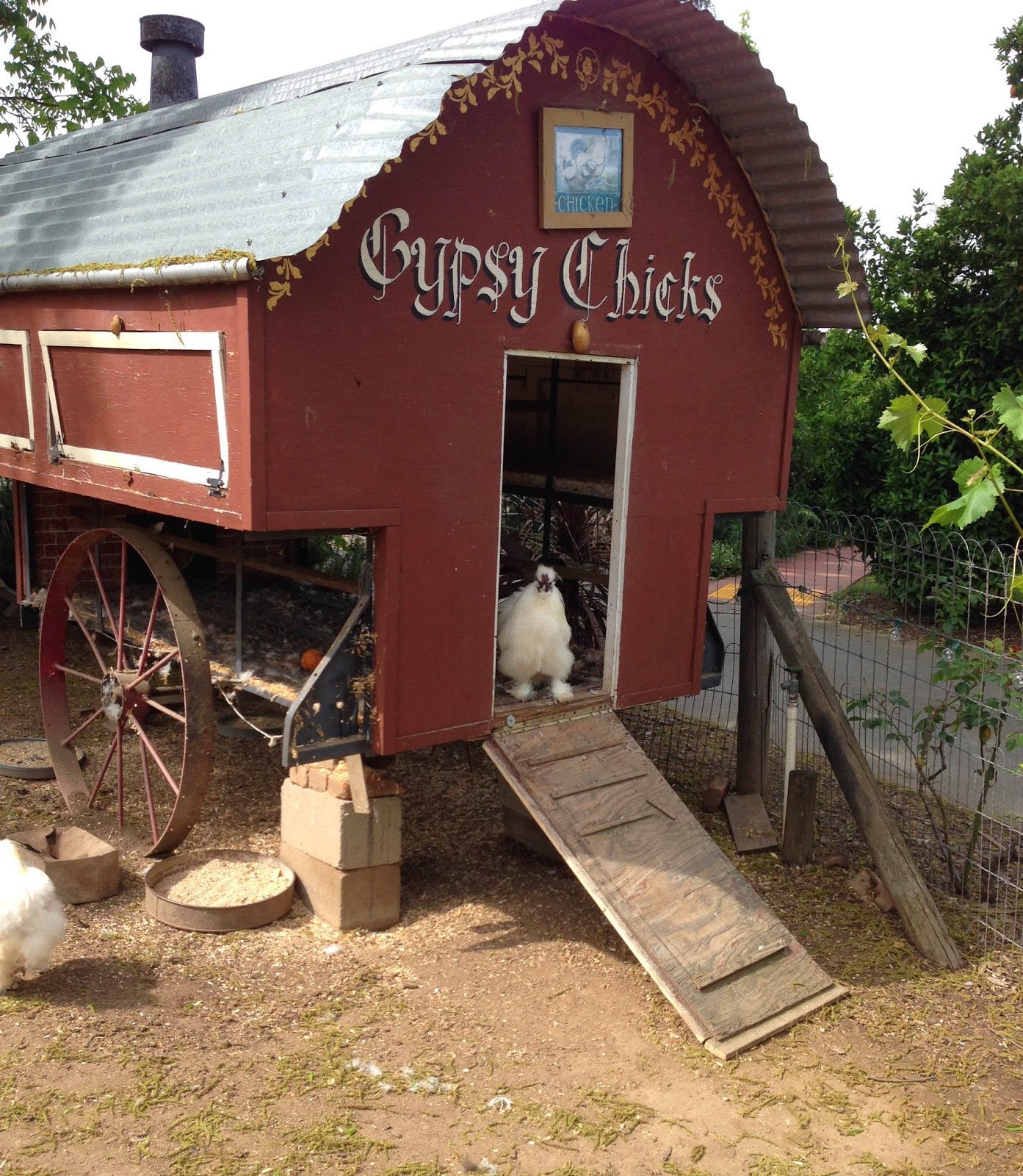 #100HappyDays: Gypsy chickens and birthday celebrations
